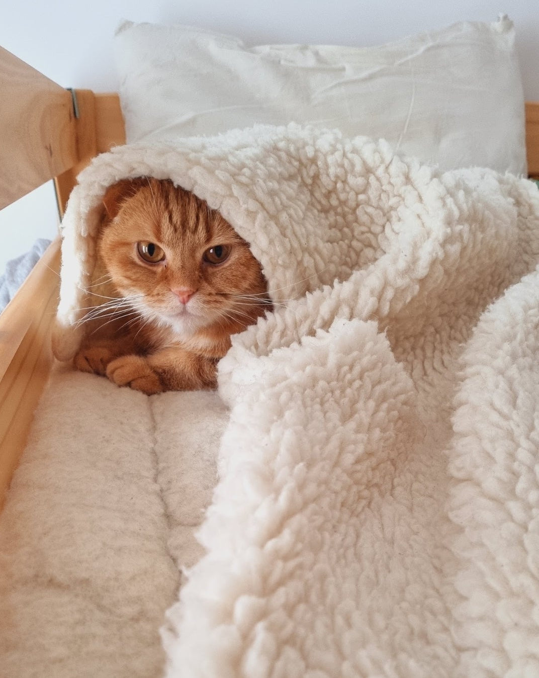 Je veux mieux dormir