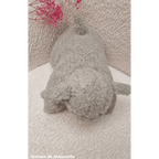 Mouton Coussin pure laine 30x40 cm - Maison de Mamoulia