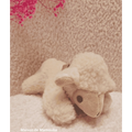 Saling - Petite Peluche Agneau en laine - 18 cm Saling