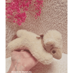 Saling - Petite Peluche Agneau en laine - 18 cm Saling