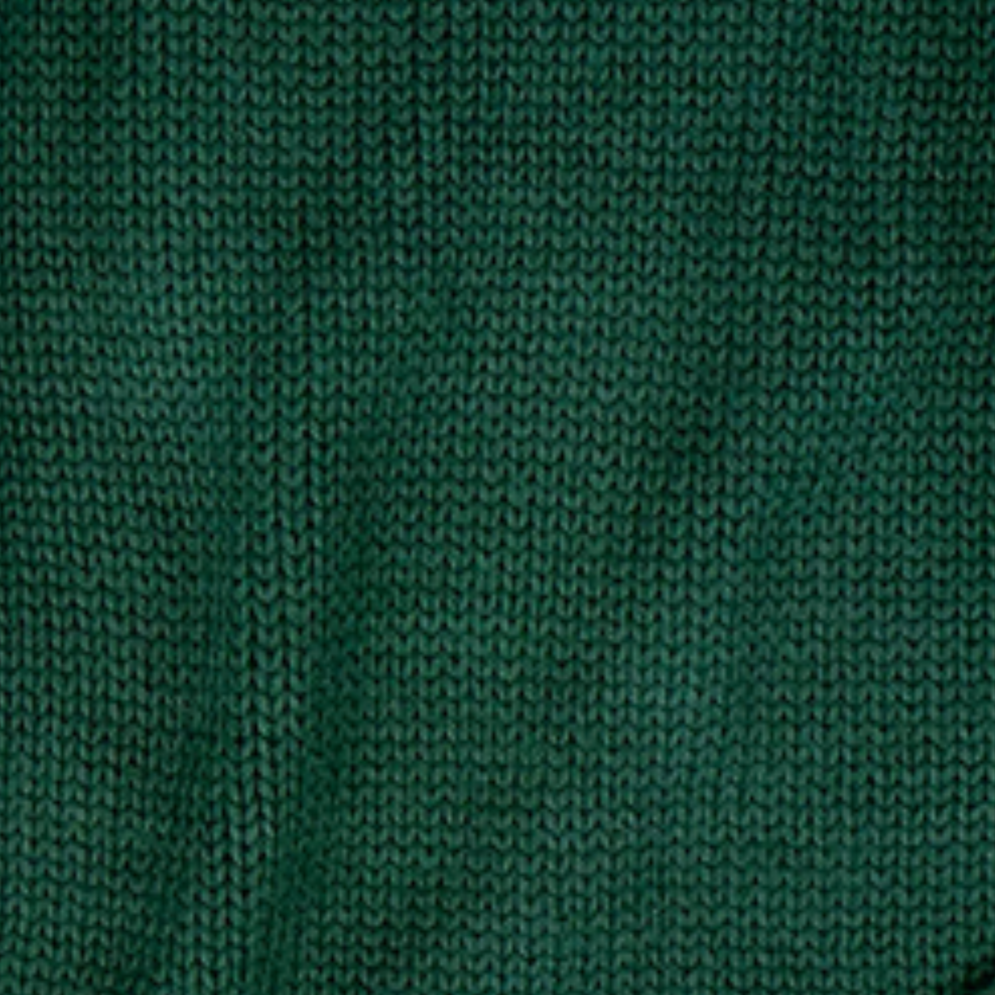 Esencia - Pull court col montant Vinni, pur alpaga